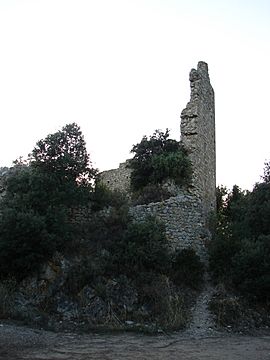 Castell de Montbui 2.JPG