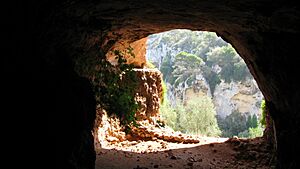 Archivo:Cova Murada