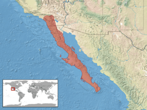 Archivo:Crotalus ruber distribution