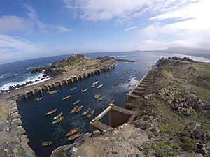 Archivo:Dársena