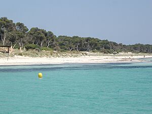 Archivo:Es Carbo Colonia Sant Jordi - panoramio