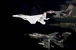 Archivo:F-15C Tornado IDS DFST8901717