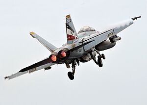 Archivo:F-18F after launch from USS Abraham Lincoln (CVN-72)