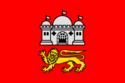 Flag of Norwich.svg