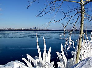 Archivo:Frozen lake toronto