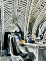 Giger Bar in Switzerland photographed by Robbie Conceptuel