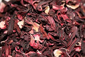 Archivo:Hibiscus sabdariffa dried