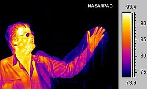 Archivo:Human-Infrared