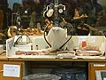 Laboratorio del Museo Feruglio 02
