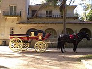 Museo Fernando García.jpg
