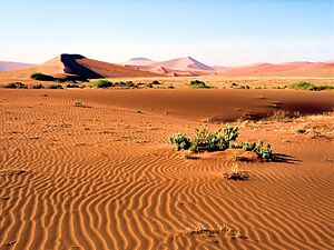 Archivo:NamibNaukluftParkDunes