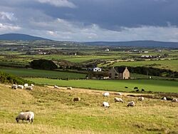 Northern Ireland - panoramio.jpg