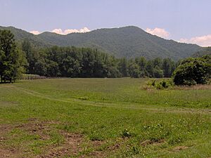 Archivo:Oconaluftee-raven-fork
