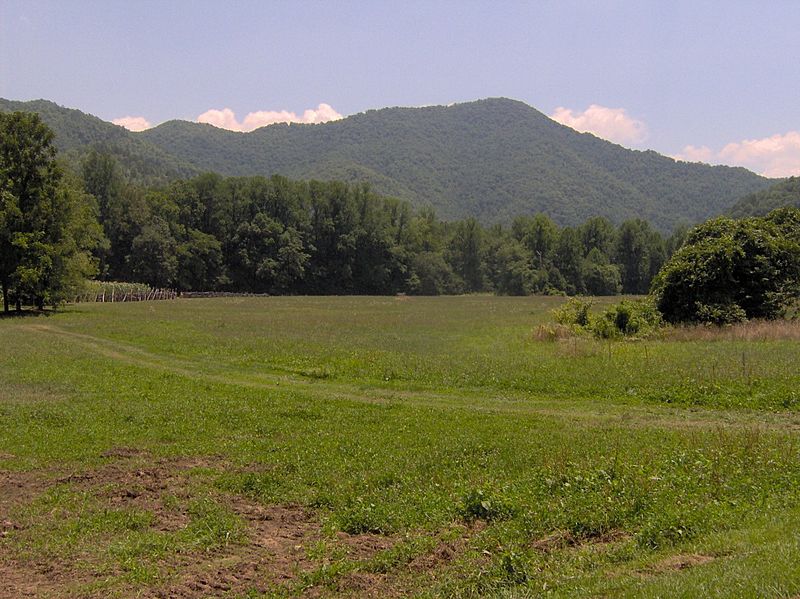 Oconaluftee-raven-fork