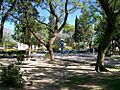 PLAZA