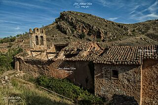 Pardos-7.jpg