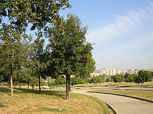 Archivo:Parque Montigalà