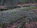 Pedra da Moura ou Pedra de Fragoselo, Coruxo, Vigo
