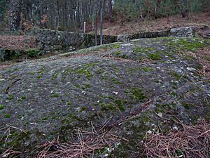 Archivo:Pedra da Moura ou Pedra de Fragoselo, Coruxo, Vigo