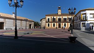 Archivo:Plaza de la Constitución. Malpica de Tajo