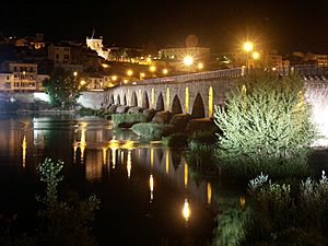 Archivo:Puente romano de Zamora