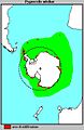 Pygoscelis adeliae Distribuzione