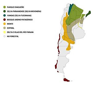 Archivo:Regiones forestales de Argentina