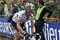 Renshaw GW2011