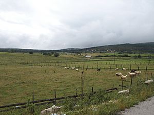 Archivo:Romanija Landscape