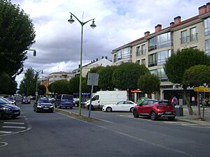 Archivo:Ruaensantacristina