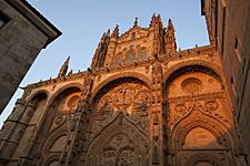 Salamanca, Catedral Nueva-PM 16879