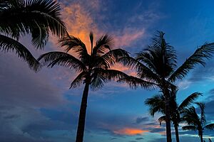 Archivo:Shades of blue puerto morelos mexico. (23968236149)