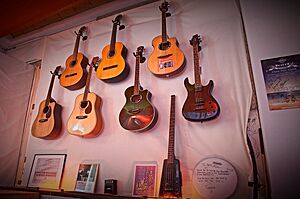 Sonic Vista Stduios (Guitar Wall).jpg