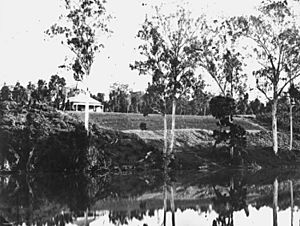 Archivo:StateLibQld 1 137083 Cleared scrubland, Mary River, Queensland