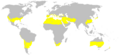 Subtropics