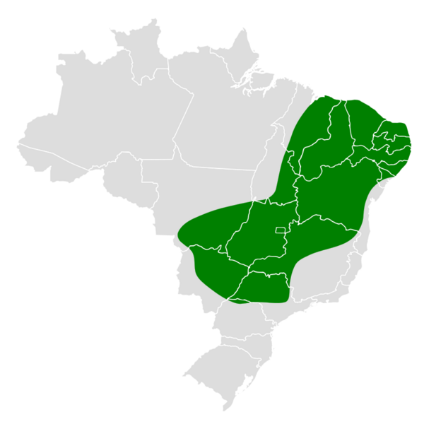 Thamnophilus pelzelni map