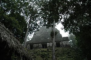 Archivo:Tikal, Temple VI