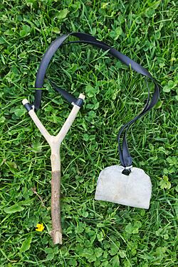 Archivo:Tiracroios - Tirachinas - Slingshot - 01