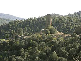 Torre de guaita de Sallent 02