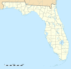 Tampa ubicada en Florida