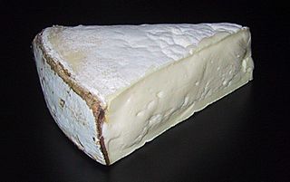 Vacherin du haut Doubs.jpg