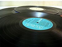 Archivo:Vinyl albums