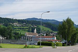 Archivo:2012-06-24-See-Gaster (Foto Dietrich Michael Weidmann) 061