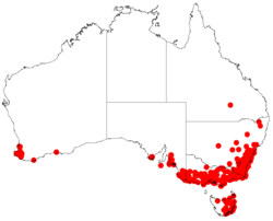 Distribución natural de Acacia mearnsii.