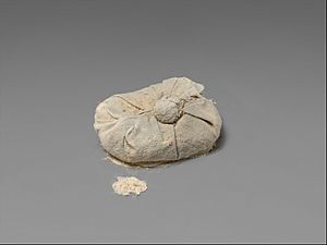 Archivo:Bag of Natron from Tutankhamun's Embalming Cache MET DP225335