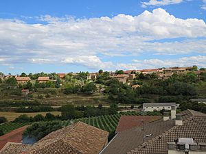 Archivo:Barrio de las Bodegas, Rodezno, La Rioja