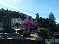 Braga (19802137488)
