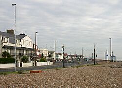 Brighton Road, Worthing, West Sussex - geograph.org.uk - 647793.jpg