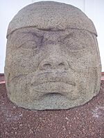 Cabeza olmeca, museo de San Andrés Tuxtla.JPG
