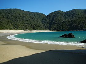 Caleta Cóndor, Región de Los Lagos.JPG